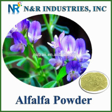 Good price and Bulk Alfalfa Powder 80mesh to 200mesh without Dextrine